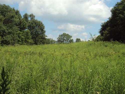 Property photo 4 - AUCTION CANCELLED TONIGHT!! SOLD Prior to Auction! 84+/- Acres Offered in 4 Tracts